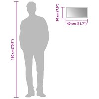 Badkamerspiegel LED 40x20 cm 6