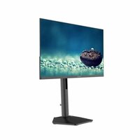 Monitor approx! APPM24SBV4 2