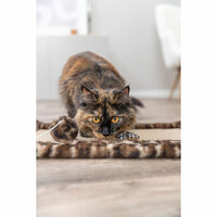 Krabpaal voor Katten Trixie Leo Bruin Polyester Sisal EVA 55 x 35 cm Tapijt 8