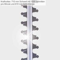 Heggenschaar Scheppach 3