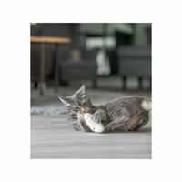 Kattenspeeltje Trixie Gezicht 7