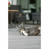 Kattenspeeltje Trixie Gezicht 8