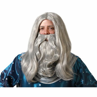 Pruik met Baard Tovenaar Grijs 1