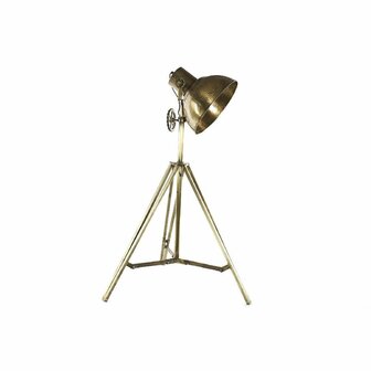 Vloerlamp Home ESPRIT Gouden 25 W 30 x 28 x 142 cm 1