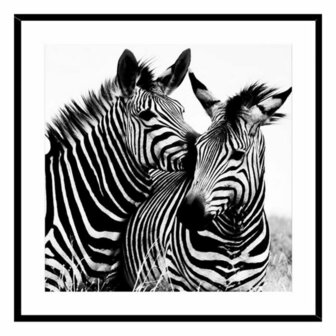 Schilderij Zebra Kristal (2 x 50 x 50 cm) 1