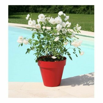 Bloempot Riviera 414056 &Oslash; 39,2 x 35,8 cm Rood 3