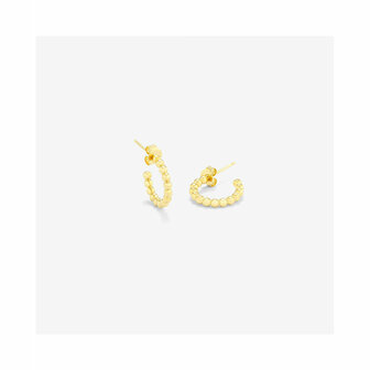 Dames oorbellen Radiant RY000017 Roestvrij staal 2 cm 3