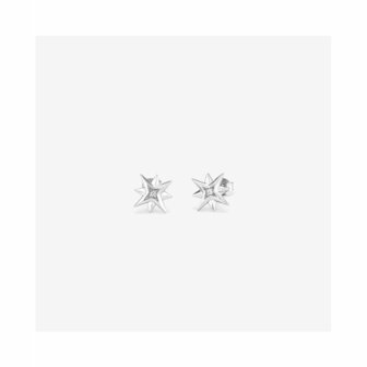 Dames oorbellen Radiant RY000032 Roestvrij staal 1 cm 3