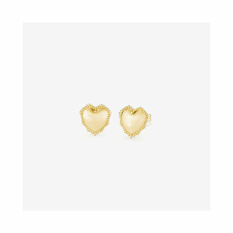 Dames oorbellen Radiant RY000055 Roestvrij staal 1,5 cm 3