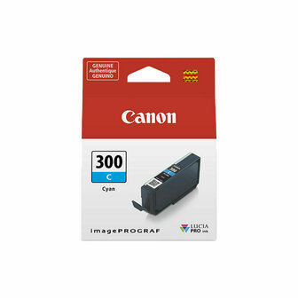 Originele inktcartridge Canon 300 1