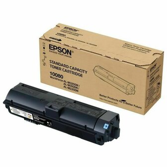 Toner Epson C13S110080 Zwart 1