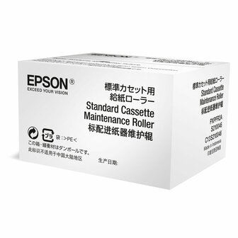 Toner Epson C13S210046 (1 Stuks) 1