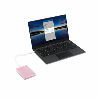 Externe Harde Schijf Seagate STKY2000405 2 TB HDD 4