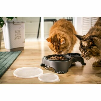 Voerbak voor honden Rotho Antraciet Plastic 3