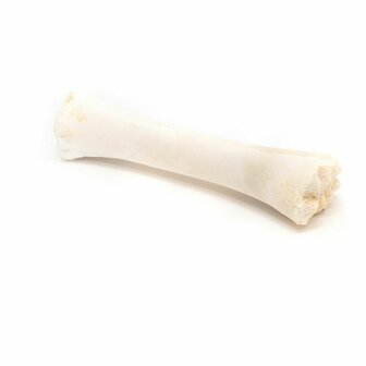 Hondensnoepjes Gloria Bot Calcium 20 Stuks 5