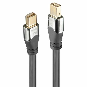 DisplayPort kabel LINDY 36307 2 m 1
