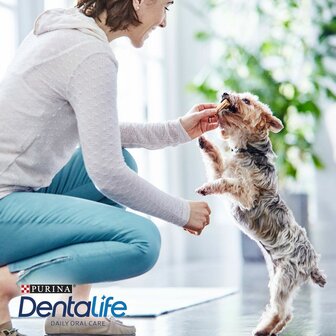 Voer Purina Volwassen Kip 69 g 2