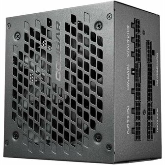 Voedingsbron Cougar GEX X2 850 W 1