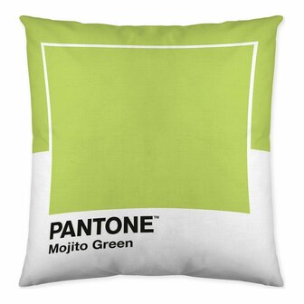 Kussenhoes Wide Pantone Localization-B086JPN8MY 50 x 50 cm 2