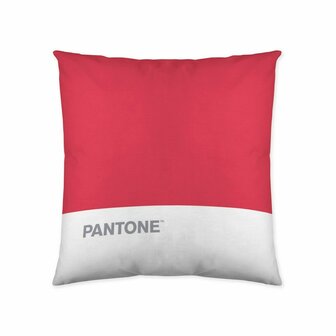 Kussenhoes Pantone Stripes (50 x 50 cm) 1