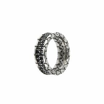 Heren ring Albert M. WSOX00081.BS-26 26 1