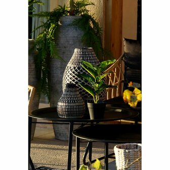Decoratieve plant DKD Home Decor PVC Polypropyleen 25 x 25 x 30 cm 4