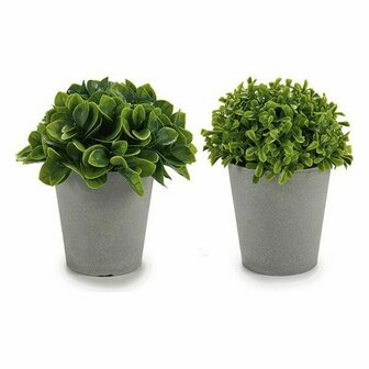 Decoratieve plant Plastic 13 x 17 x 13 cm (12 Stuks) 2