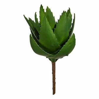 Decoratieve plant Alo&euml; Vera 13 x 24,5 x 14 cm Groen Plastic (6 Stuks) 2