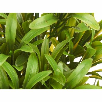 Decoratieve plant Plastic 18 x 35 x 16 cm (6 Stuks) 2
