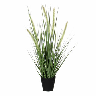 Decoratieve plant Mica Decorations Dogtail PVC 1