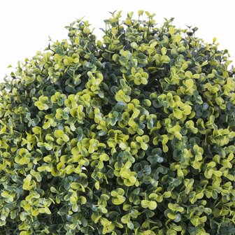Decoratieve plant   Klot Lente 20 x 20 x 20 cm 2