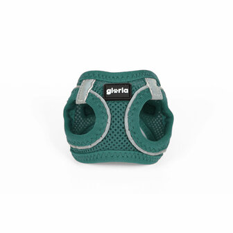 Hondentuigje Gloria Trek Star 24-26 cm 28-28,6 cm Turkoois XXS 5