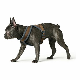 Hondentuigje Hunter London Comfort 52-62 cm Bruin Maat S/M 1