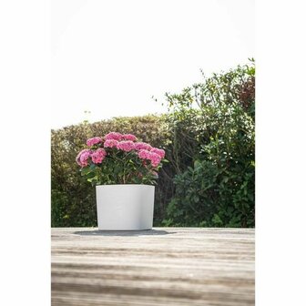 Zelfwaterende bloempot Garden ID Wit 20 x 20 cm 4
