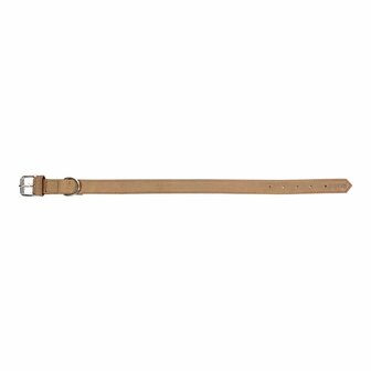 Hondenhalsband Gloria Oasis Wit (50 x 2,1 cm) 3