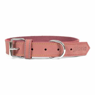 Hondenhalsband Gloria Oasis Roze (50 x 2,1 cm) 1
