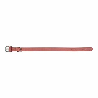 Hondenhalsband Gloria Oasis Roze (50 x 2,1 cm) 5