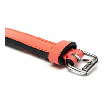 Hondenhalsband Gloria Gestoffeerd Koraal (40 cm) (40 x 2 cm) 4