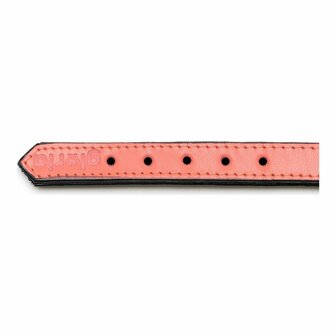 Hondenhalsband Gloria Gestoffeerd Koraal (40 cm) (40 x 2 cm) 5