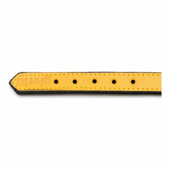 Hondenhalsband Gloria Gestoffeerd Geel (50 cm) (50 x 2,5 cm) 3