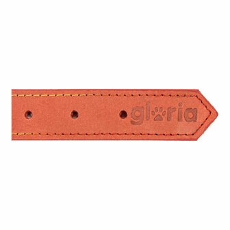 Hondenhalsband Gloria Oasis Rood (35 x 1,2 cm) 2