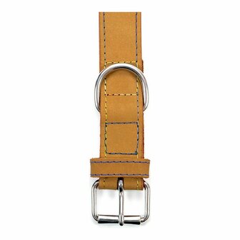 Hondenhalsband Gloria Oasis Geel (35 x 1,2 cm) 3