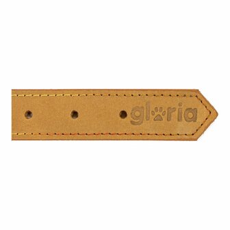 Hondenhalsband Gloria Oasis Geel (35 x 1,2 cm) 5