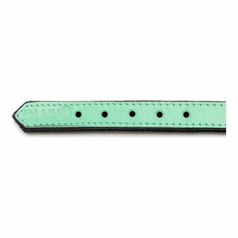 Hondenhalsband Gloria Gestoffeerd Groen (30 cm) (30 x 1,5 cm) 7
