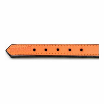 Hondenhalsband Gloria Gestoffeerd Oranje (35 cm) (35 x 1,5 cm) 4
