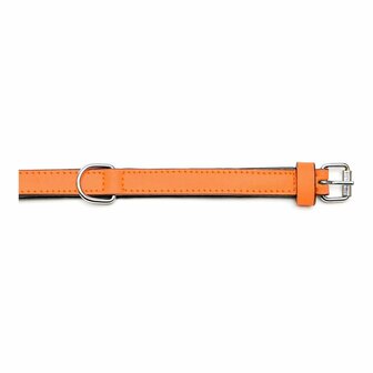 Hondenhalsband Gloria Gestoffeerd Oranje (35 cm) (35 x 1,5 cm) 6