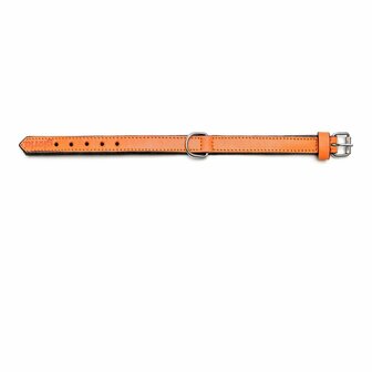 Hondenhalsband Gloria Gestoffeerd Oranje (35 cm) (35 x 1,5 cm) 7