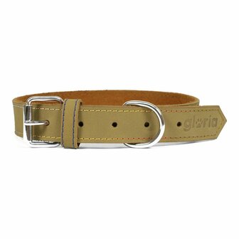 Hondenhalsband Gloria Oasis Groen (35 x 1,2 cm) 1