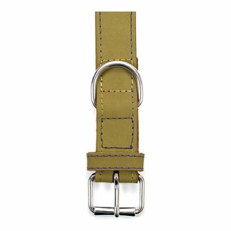 Hondenhalsband Gloria Oasis Groen (35 x 1,2 cm) 5