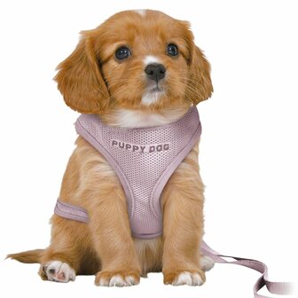 Hondentuigje Trixie Junior Lila M/L 1